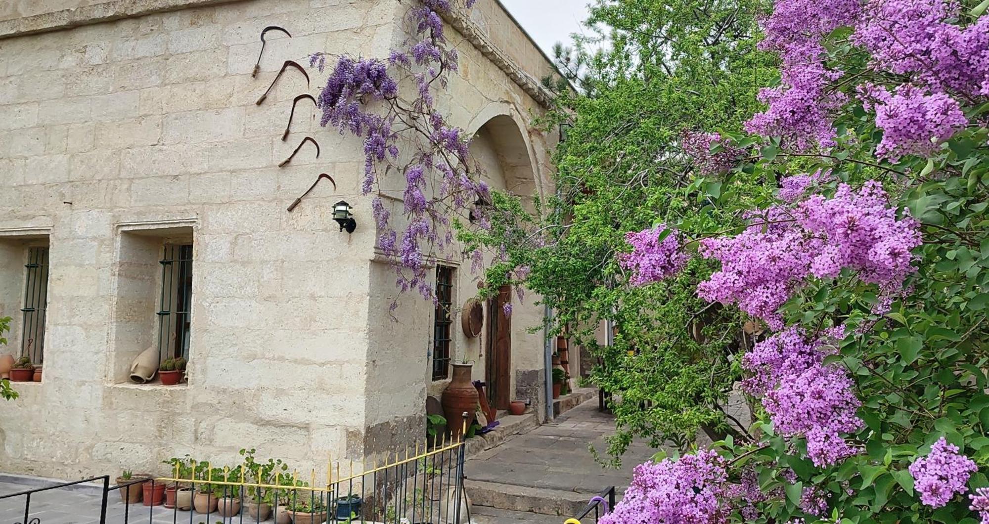 Armesos Cave Hotel Ürgüp Exteriör bild